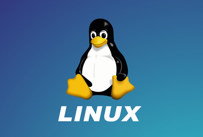 Linux-da Sadə Əmrlər: Terminal ilə Tanışlığa İlk Addım